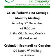 Coiste Forbartha na Carraige December 2024 Meeting