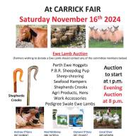 2024 Carrick Fair Charity Auction